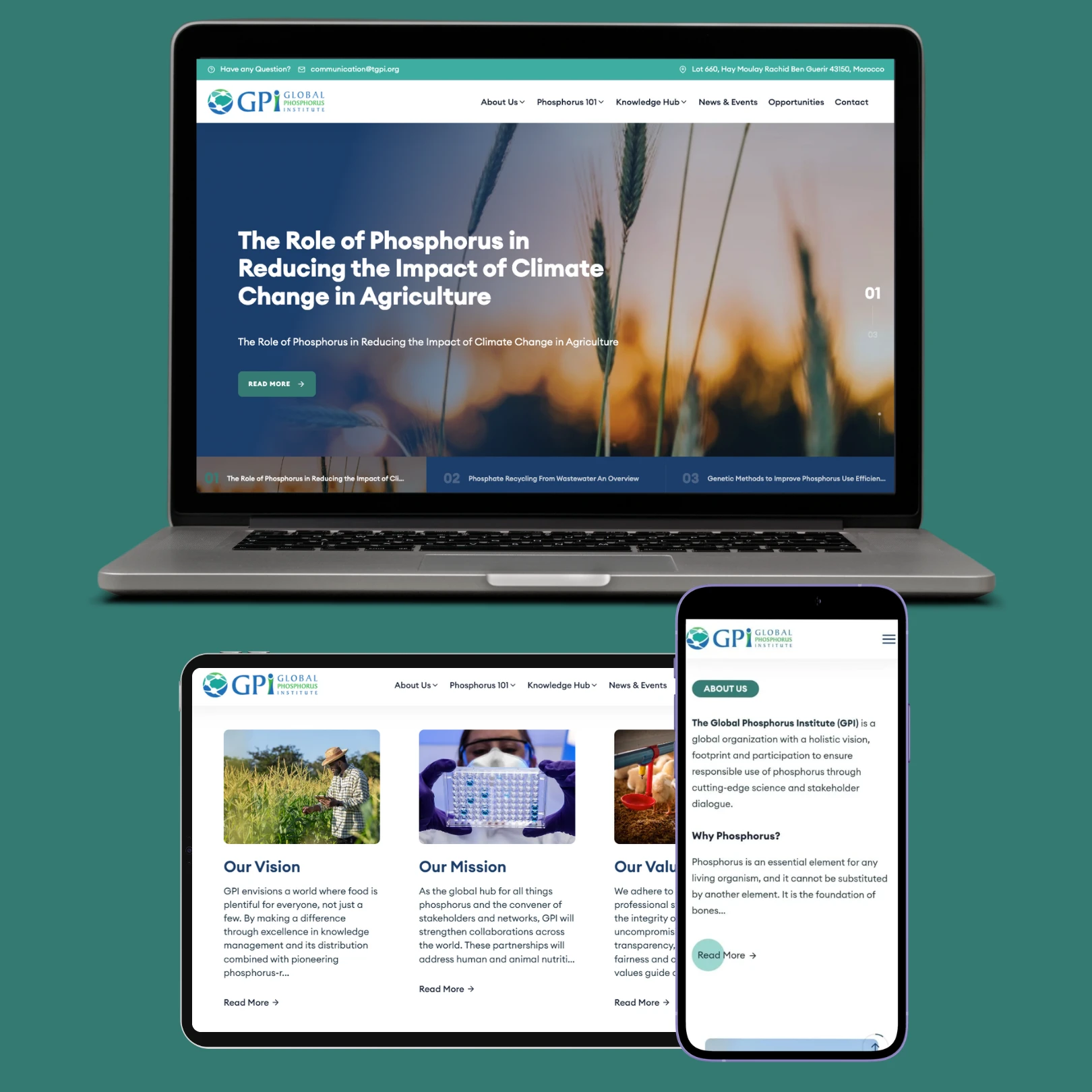 Global Phosphorus Institute